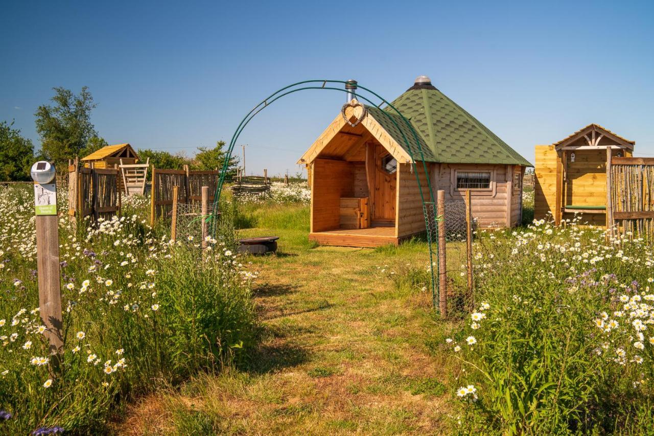 Campsite Hatters Meadows Glamping