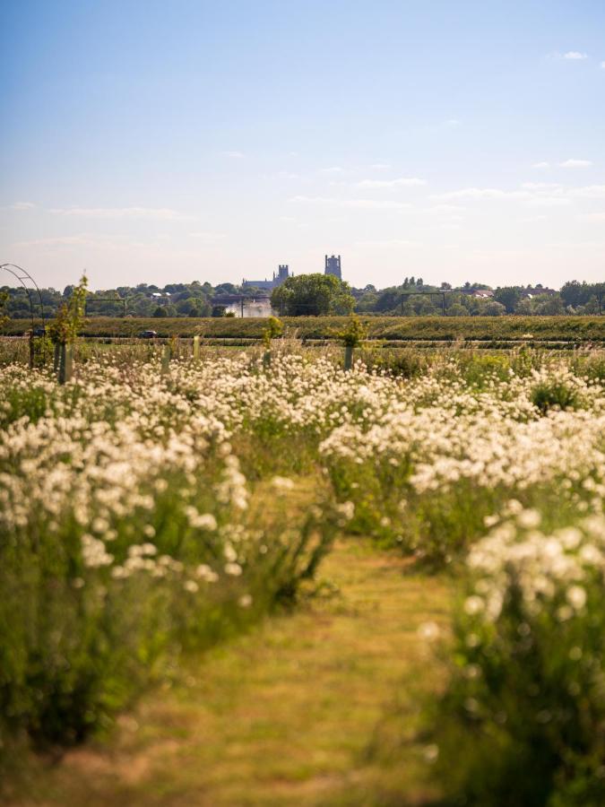 Parque de Campismo Hatters Meadows Glamping